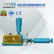WSR-125化工行業專用羅茨鼓風機